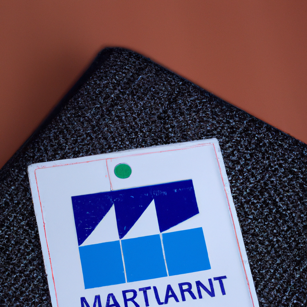 Branding corporate en Martinique, bureau lumineux, portraits d’équipe style éditorial